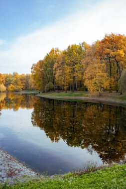 Sonbahar Parkı, ağaçlar göletyansıyan, soldu yapraklar