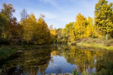Sonbahar Parkı, ağaçlar göletyansıyan, soldu yapraklar