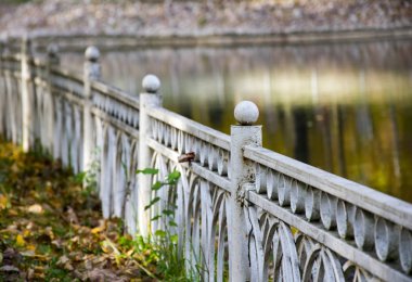 Autumn Park, ağaçlar göletyansıyan, beyaz paslı çit, zekâ