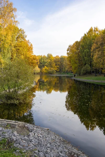 Parc d'automne, arbres reflétés dans l'étang, feuilles desséchées — Photo