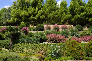 Partenit, Crimea - 17 Eylül 2016. 