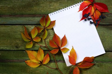 Eski bir ahşap masa üstünde not etmek. Metin için yer. Yabani üzüm ve dizüstü yaprakları eski püskü masada.