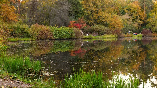 Automne Moscou Paysages Dans Parc Naturel Serebryany Bor Lac Bezdonnoe — Photo