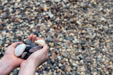 Yazlık evler ve bahçıvanlık için taş çakıl taşlarının arka planına karşı bir avuç taş.