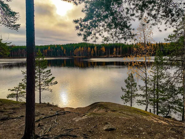 Baumspiegelung See — Stockfoto