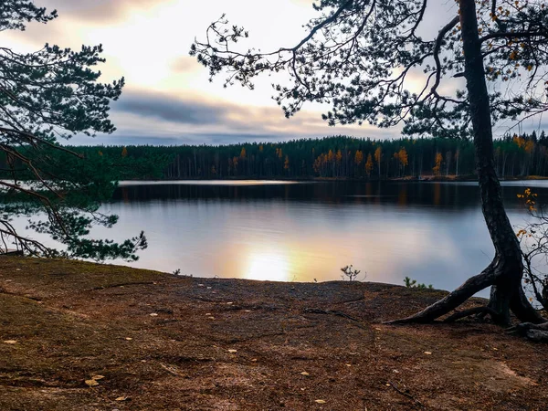 Återspegling Solen Och Träden Sjön — Stockfoto