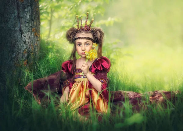 Маленька Принцеса Сидить Траві Букетом Квітів Снів Принца — стокове фото