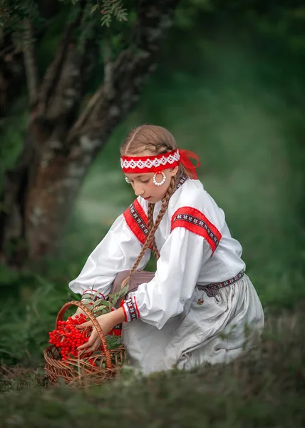 可愛い女の子がバスケットに山の灰の束を入れます ローワンの木の横にある森の中の美しい少女の肖像画 ロシアの伝統 — ストック写真