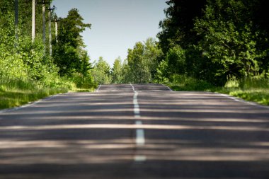 Asfalt yol orman boyunca uzanır..