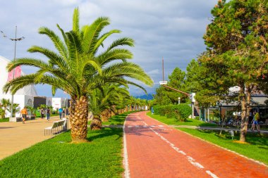 Bisiklet yolu trafiği Batum yeni Boulevard Batum şarkı çeşmeler yakınındaki çıkabilir boyunca güzel görünümüne. Park yakınındaki mesire Batum Karadeniz, palmiye ağaçları ile. Gürcistan
