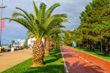 Bisiklet yolu trafiği Batum yeni Boulevard Batum şarkı çeşmeler yakınındaki çıkabilir boyunca güzel görünümüne. Park yakınındaki mesire Batum Karadeniz, palmiye ağaçları ile. Gürcistan