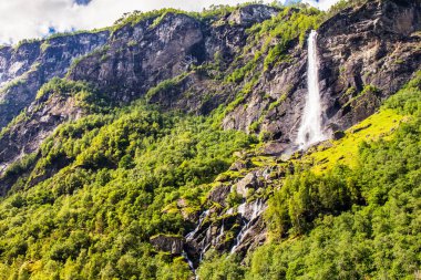 Dev Rjoandefossen waterfall tarafından Flam Myrdal demiryolu hattı Norway sanny yaz gün.