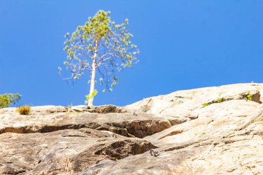 Close-up view to Steel anchor on a rock wall. Outdoor equipment. Climbing track from fastening screws. Bolt hammered into the cliff used for insurance of climbers in the mountains. Karelia, Russia.