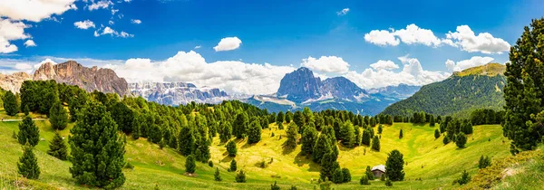 从Seceda公园看到的惊人景色。 Selva di val gardena, Trentino Alto Adige, Dolomites Alps, South Tyrol, Italy Europe. Odle-Geisler山区群、 Secede峰和Seiser Alm Alpe Siusi全景 — 图库照片