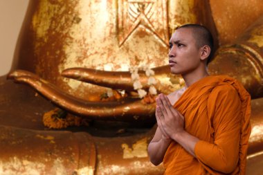 Asyalı keşiş, Tayland rahibi dua, Budistler güler yüz, Hintli keşiş, mutlu çaylaklar, Budist tapınağındaki Tayland keşişi, konsantre olma zamanı, Buda 'ya ve Tayland kültürüne saygı gösteren keşişler.,