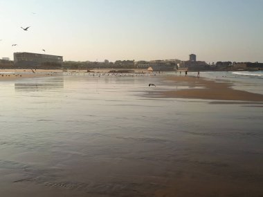 Porto, Portekiz Matosinhos plajda güzel ihale gün batımı