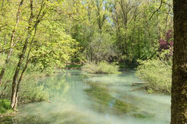 Doğum Ebro Nehri'nin Fontibre, Cantabrial, İspanya