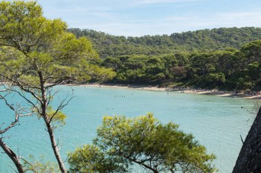 Porquerolles Island, Güney Fransa'nın güzel koyda.