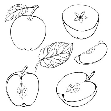 Beyaz arkaplandaki vektör elmalar. El çizimi eskiz. Çevre yemeği. Vektör çizimi. Beyaz arkaplanda izole çizim.