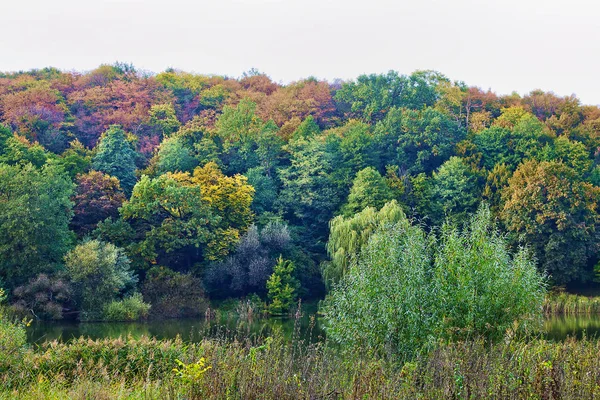 湖上秋林中的五彩树 — 图库照片
