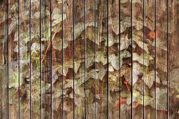 background wooden fence with ivy pattern on the boards