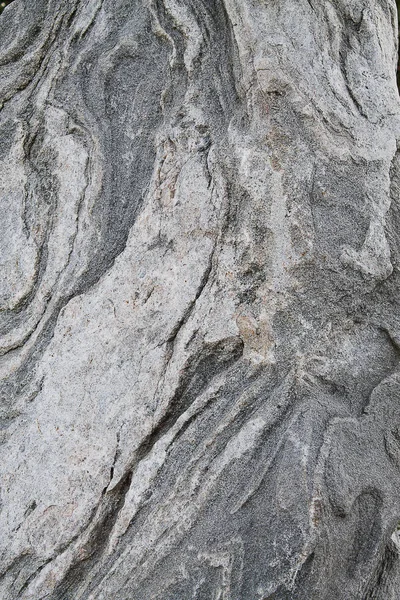 Doku Lekeleri Closeup Ile Gri Taş — Stok fotoğraf