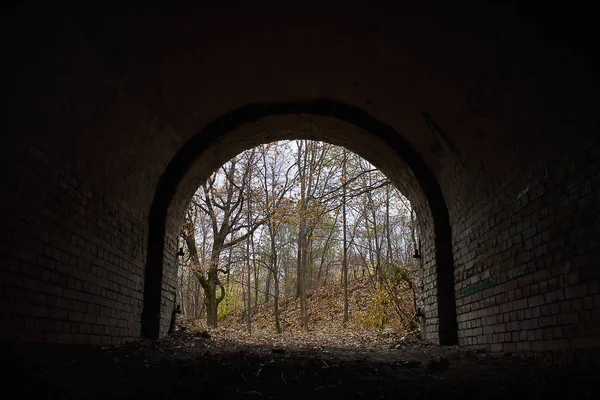 view of the autumn forest clearing out an old abandoned tunnel