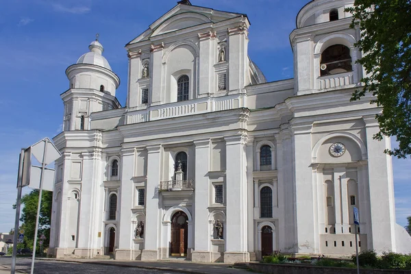聖者ピーターおよびルツク ウクライナで 世紀のパウロ大聖堂 — ストック写真
