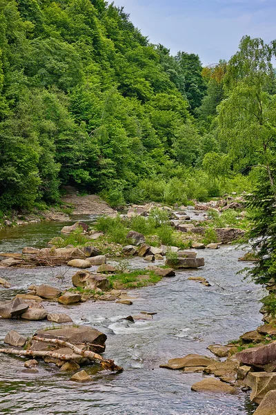 Horské Řeky Prut Ukrajinských Karpatech — Stock fotografie