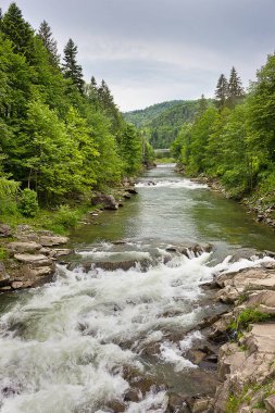 Ukrayna Karpatlar Prut Nehri'nde pitoresk bir şelale peyzaj
