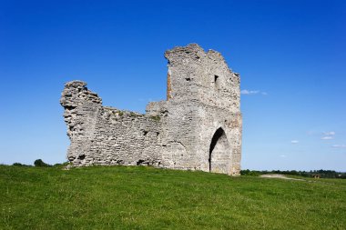 13. yüzyılda, Ukrayna Kremenets Şatosu.