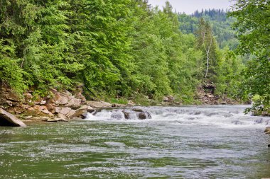 dağ nehir prut Ukraynalı Karpatlar
