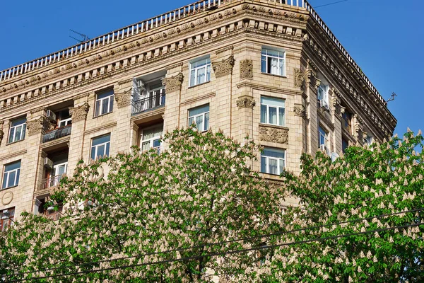 Угол Старинного Киевского Дома Среди Цветущих Каштанов — стоковое фото