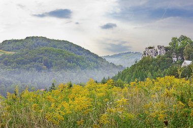 Yaz peyzaj çayır ve sis dağlar