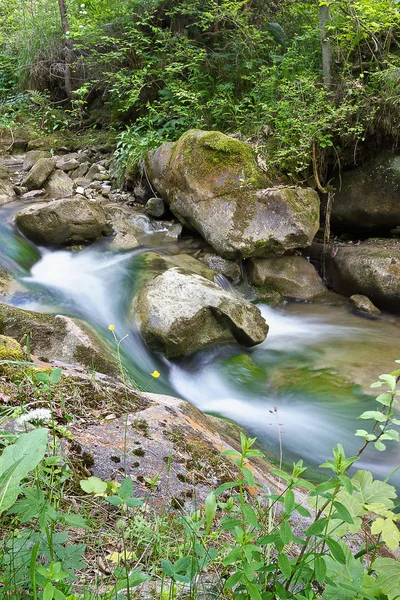 Fluxo Montanha Florestal Entre Pedras Com Corredeiras — Fotografia de Stock