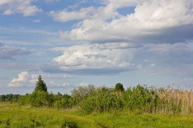 Yaz, yatay, çayır ve bulutlu gökyüzü