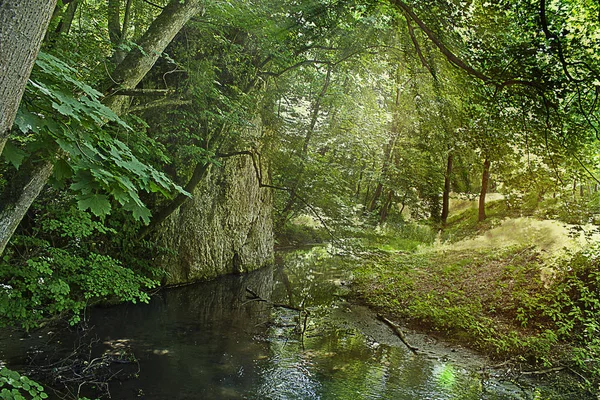 Sommerlandschaft Waldbach Fließt Einem Sonnigen Tag Unter Einem Berg — Stockfoto