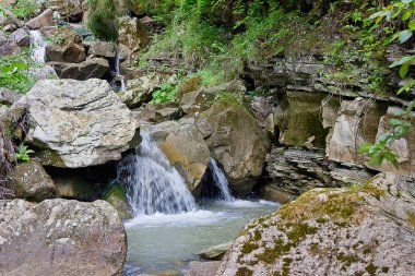 Karpat Dağları 'nda bir şelalesi olan dağ ormanı deresi