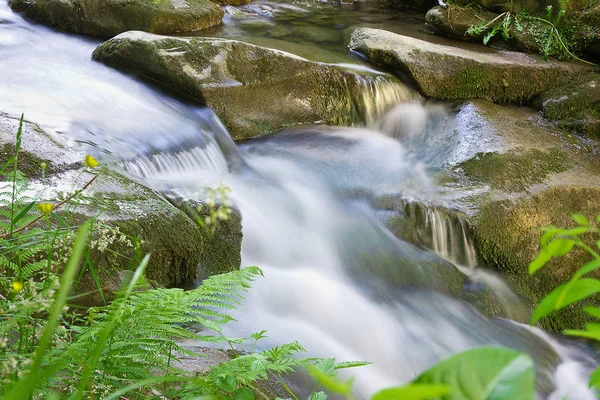 急流を持つ石の中で森の山の小川 — ストック写真