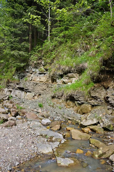 カルパチア山脈の滝と山の森の小川 — ストック写真