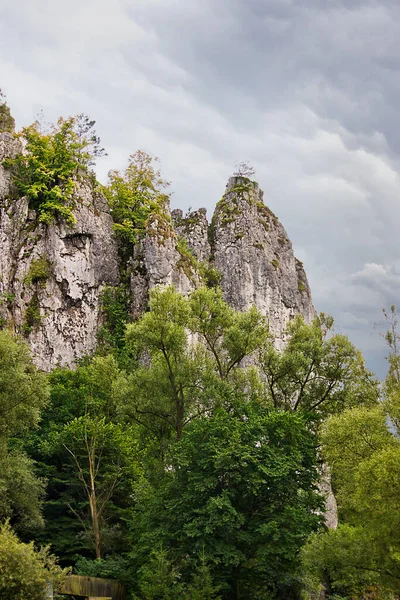 Літній Пейзаж Лісом Камінням Прекрасний Вид Горами — стокове фото