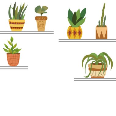 Raflardaki saksılarda yeşil bitkiler beyaz arkaplan boşluğunda metin için
