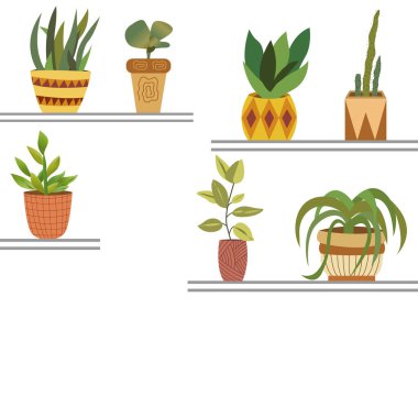 Raflardaki saksılardaki yeşil bitkiler metin için vektör grafik uzayı