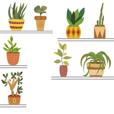 Raflardaki saksılarda yeşil bitkiler vektör grafikleri