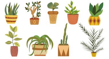 Tencerelerdeki kapalı bitki kümesi