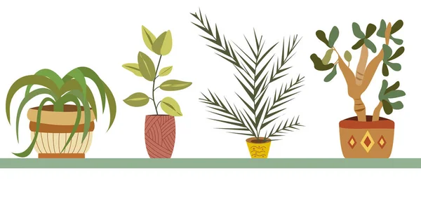 Vector Conjunto de plantas de interior en macetas — Vector de stock