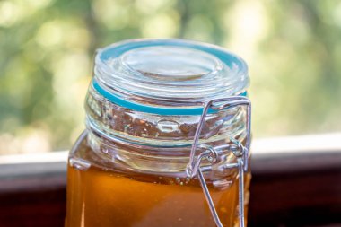 Çiçekli, tatlı ballı cam bir kavanoz, sonbaharda hediye edilen ağaçların arka planına karşı ahşap bir masanın üzerinde duruyor.