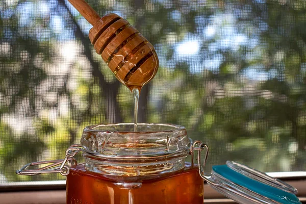 Золотой цветочный мед, льющийся из деревянной палки в стеклянную банку с крышкой на фоне деревьев — стоковое фото
