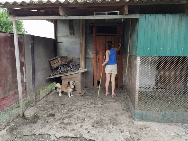 Mujer Colocando Diferentes Herramientas Agrícolas — Foto de Stock