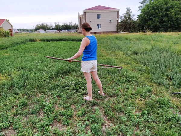 Vrouw Maait Gras Zeis Het Platteland — Stockfoto